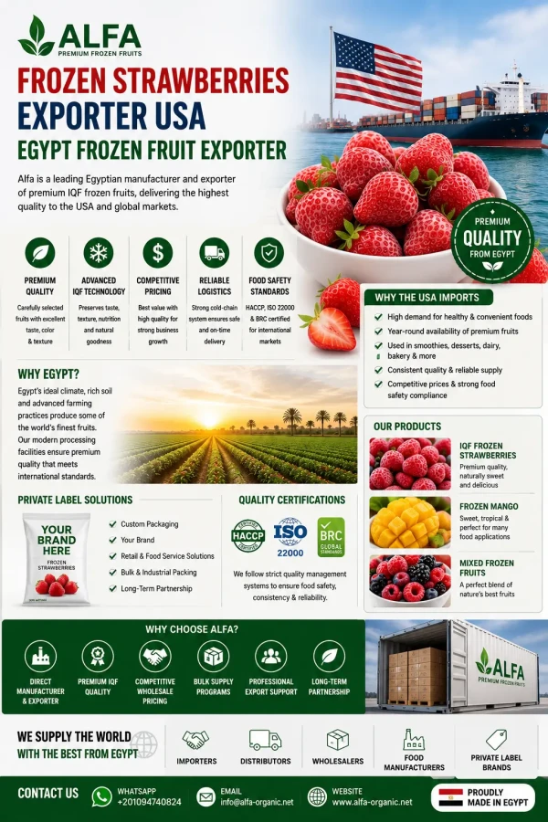 Frozen Strawberries Exporter USA & Egypt Frozen Fruit Exporter: Why Global Buyers Choose Egyptian Frozen Fruits