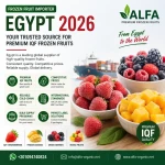 Premium frozen fruits from Egypt