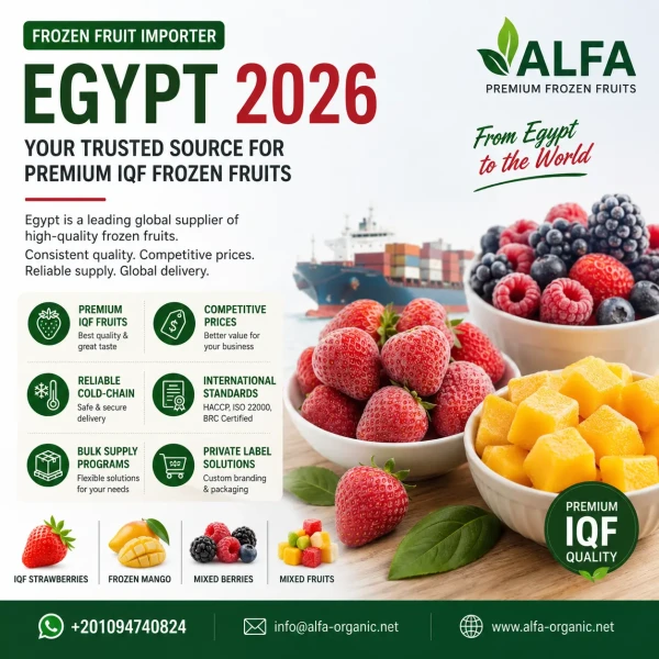 Frozen Fruit Importer Egypt 2026: Why Egypt Is the Preferred Source for Premium IQF Frozen Fruits