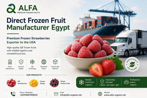 Direct Frozen Fruit Manufacturer Egypt | Premium Frozen Strawberries Exporter to the USA