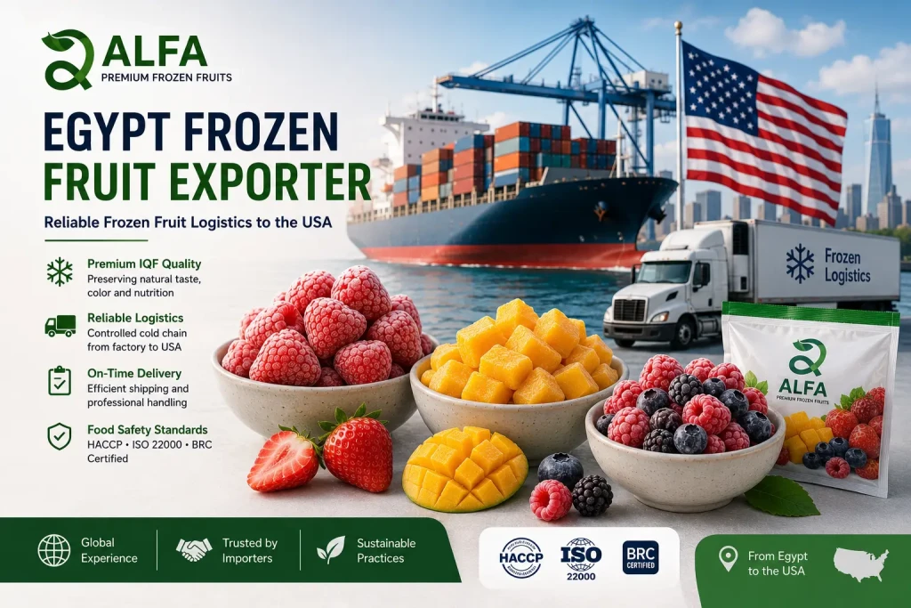 Premium frozen fruits logistics export