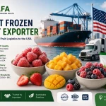 Premium frozen fruits logistics export