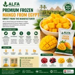 Premium frozen mangoes from Egypt