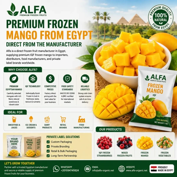Premium Frozen Mango Egypt & Direct Frozen Fruit Manufacturer Egypt: The Smart Choice for Global Importers