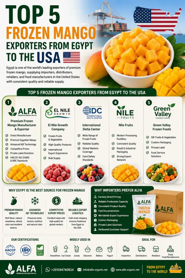 Top 5 Frozen Mango Exporters from Egypt to the USA (2026 Guide)