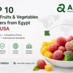 top frozen fruit exporters Egyp2
