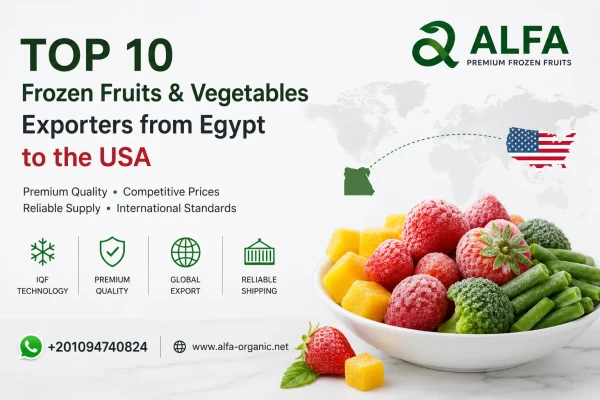 Top Frozen Fruits and Vegetables Exporters from Egypt to the USA