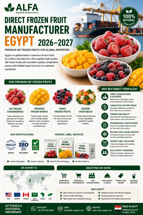 Direct Frozen Fruit Manufacturer Egypt 2026–2027 | Premium IQF Frozen Fruits for Global Food Importers